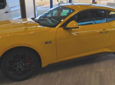 Ford Mustang V8 GT Fastback, 5.0 GT 446 KM